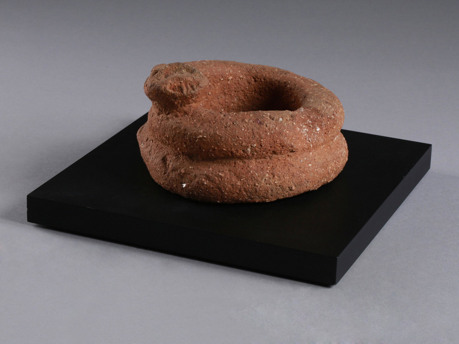 A Nok Snake (1 of 14)