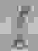 item-100499331=3