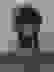 item-100499339=7