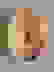 item-100499344=5