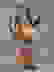 item-100499347=2