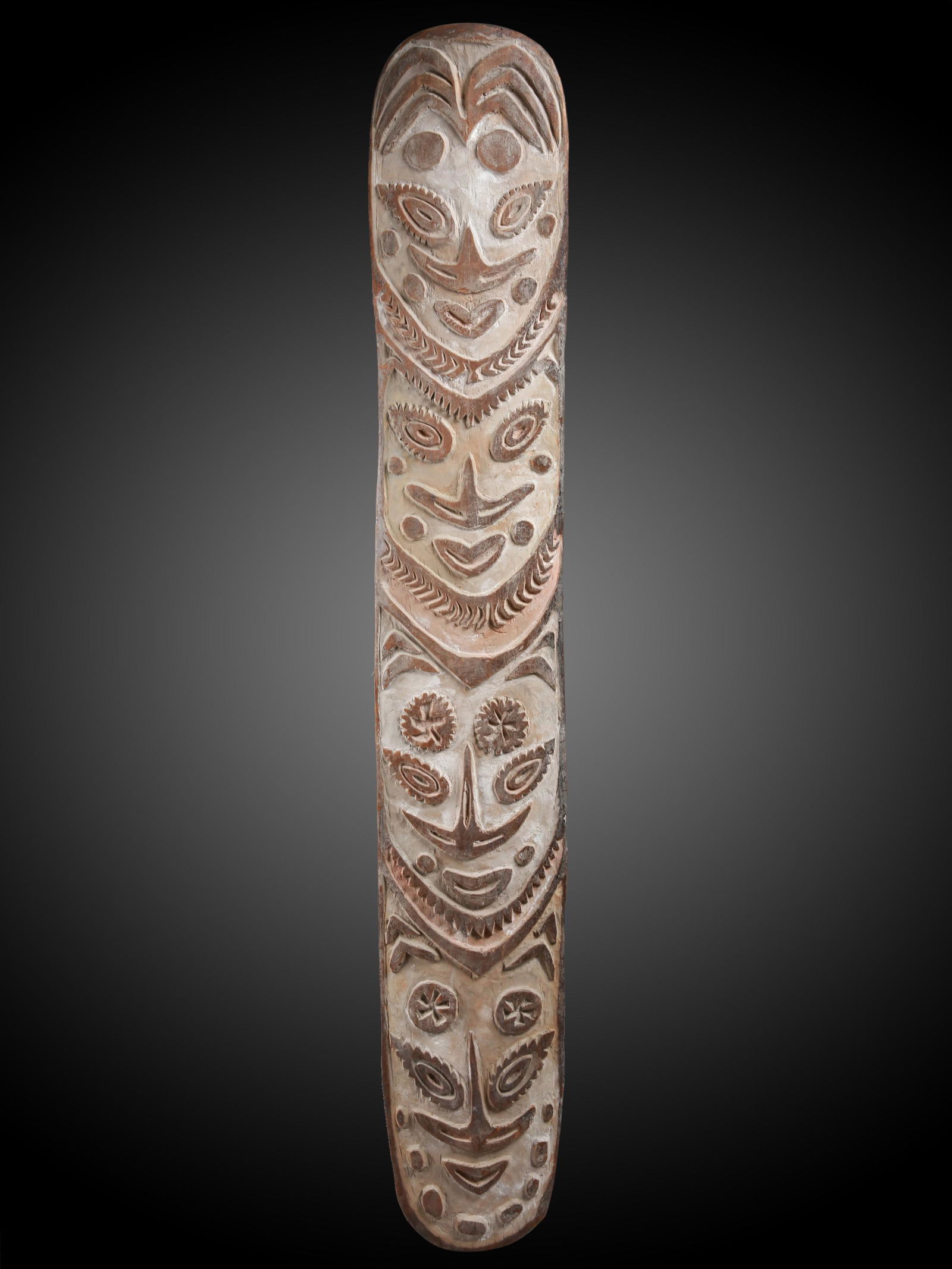 A Sepik Shield (1 of 16)