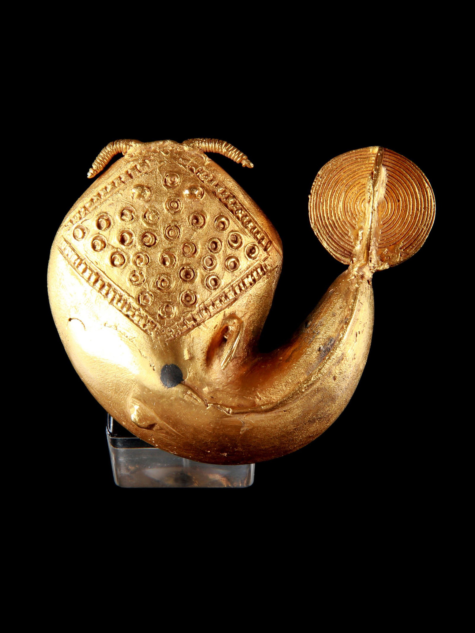 An Asante Ring, Mudfish (1 of 6)