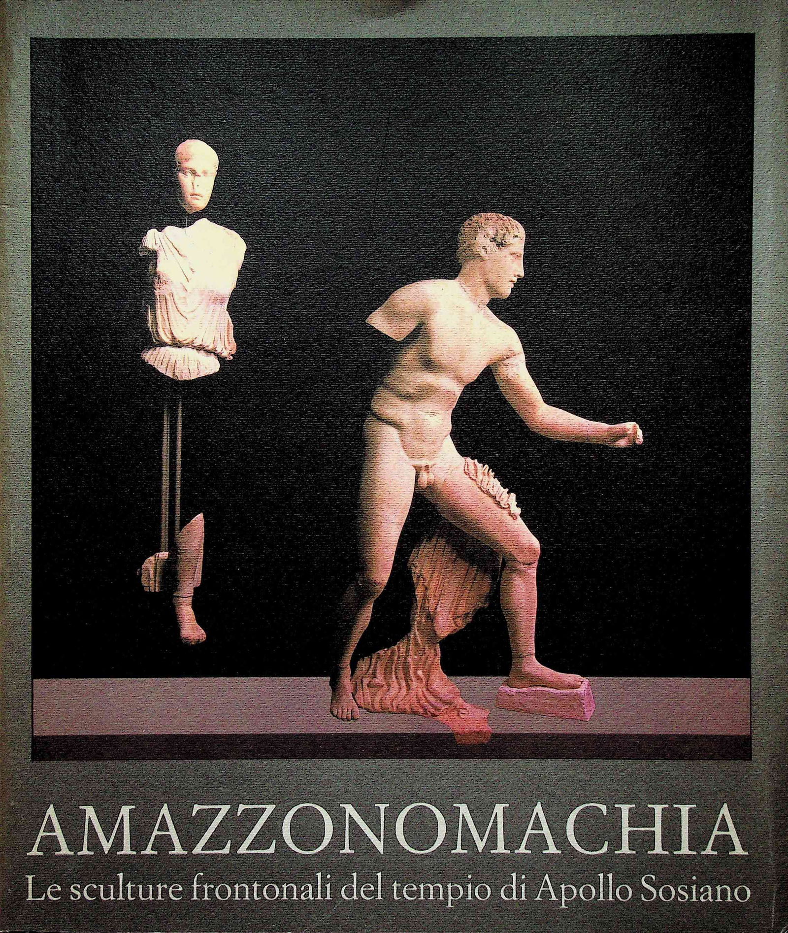 Amazzonomachia (1 of 1)