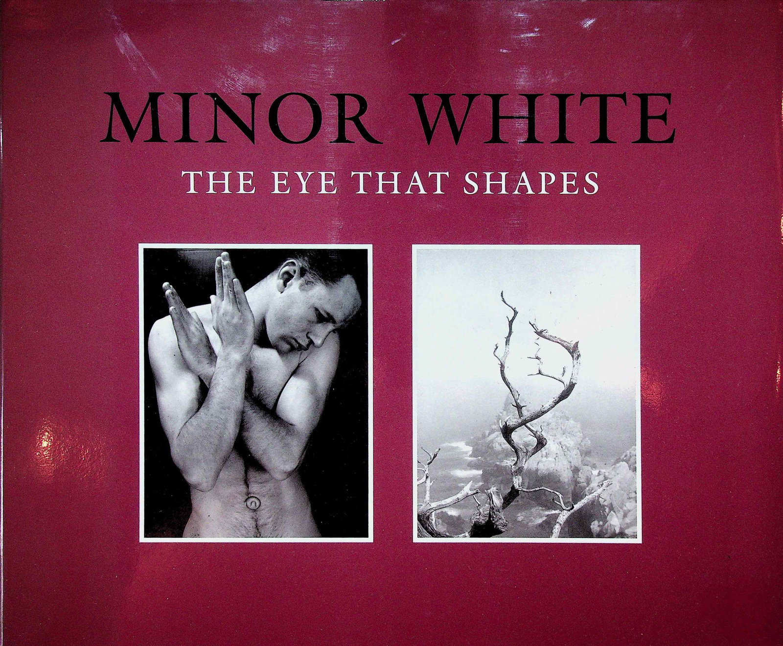 MINOR WHITE: MINOR WHITE THE EYE THAT SHAPES Peter Bunnell (1989). Princeton, University Art Museum. ISBN: 0-943012-10-4 CHF 20 / 40 EUR 20 / 40