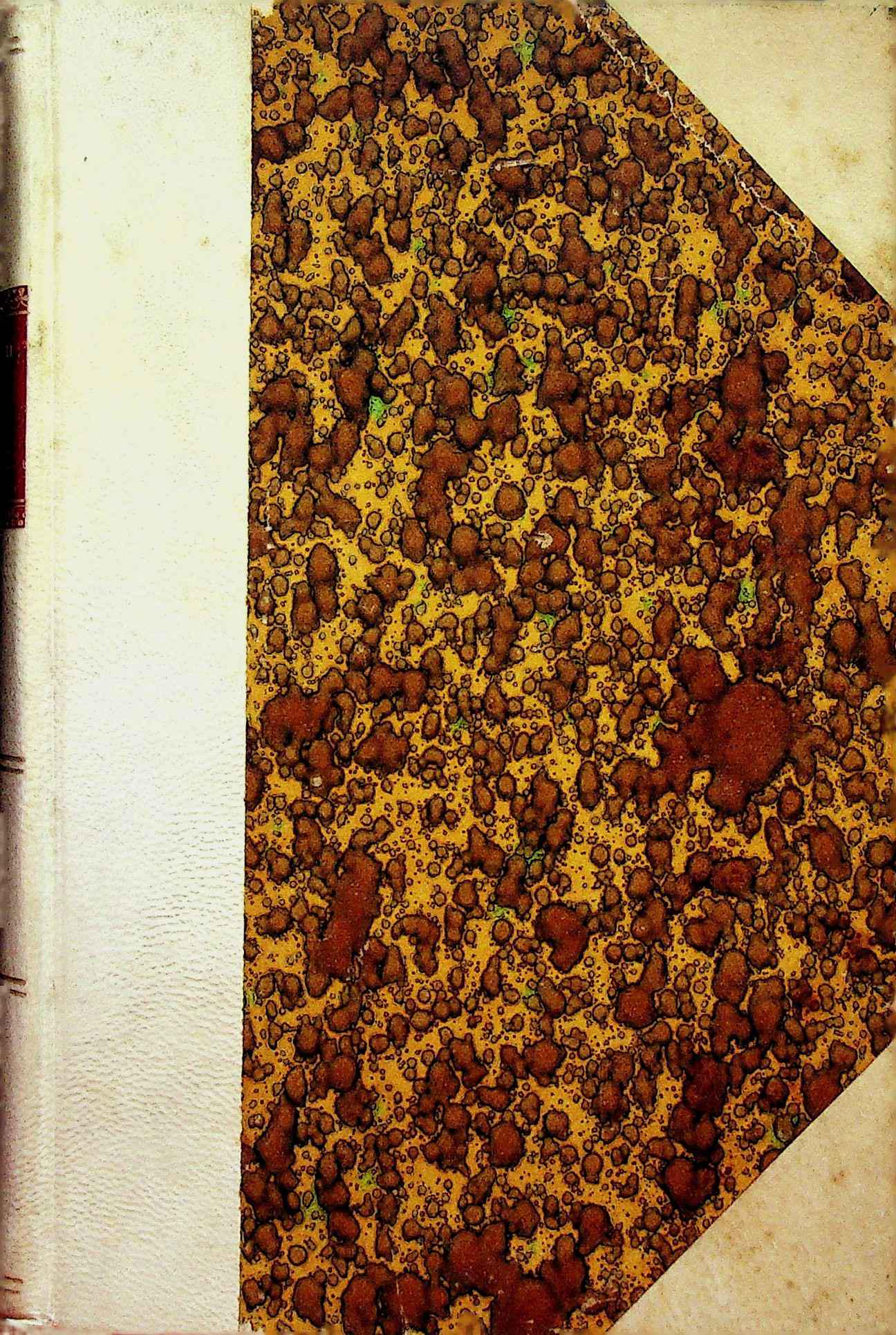 STORIE FIORENTINE (1 of 1)