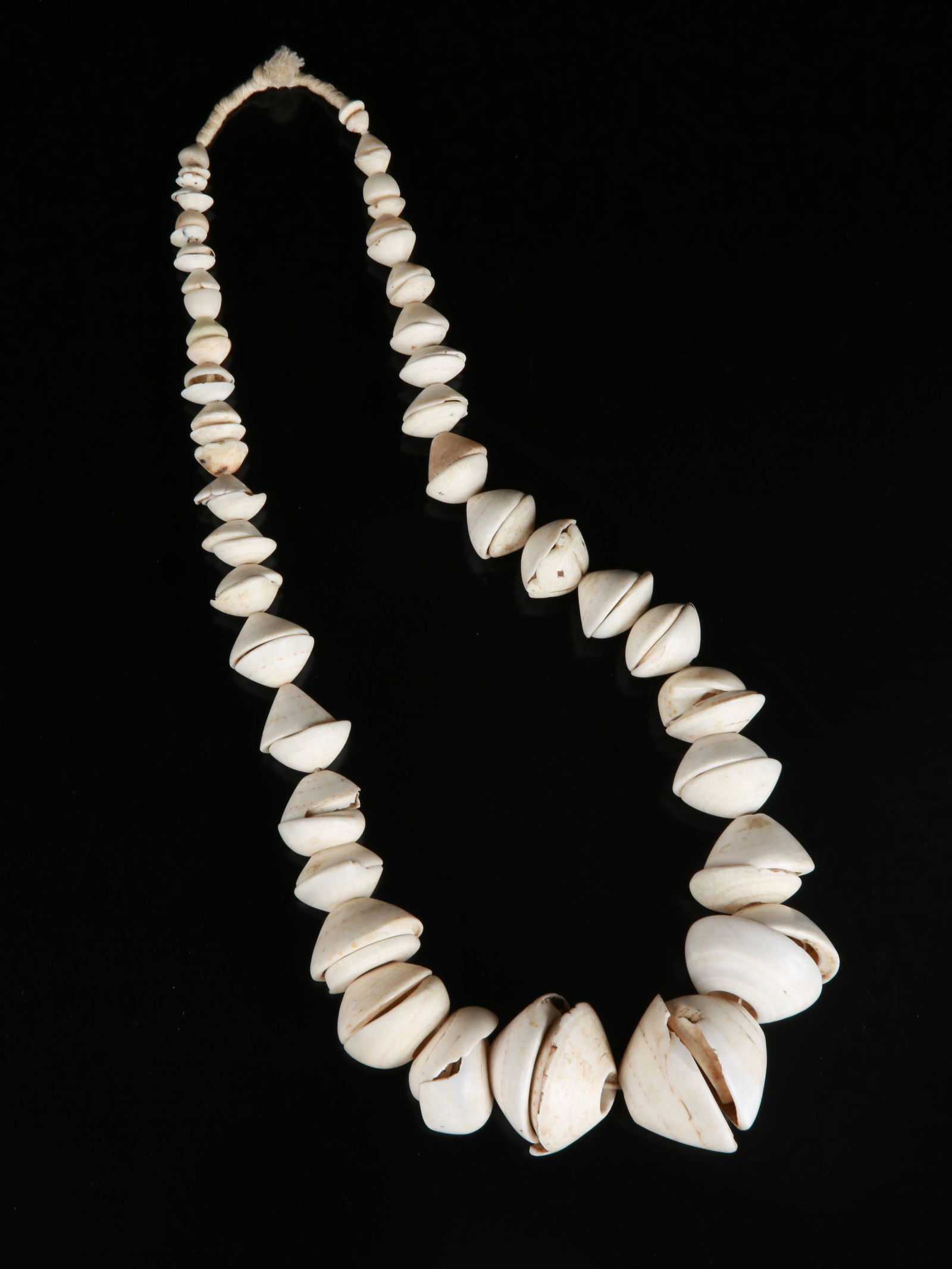 A Shell Bead Necklace (1 of 8)