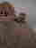 item-131939702=13