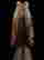 item-131939752=11