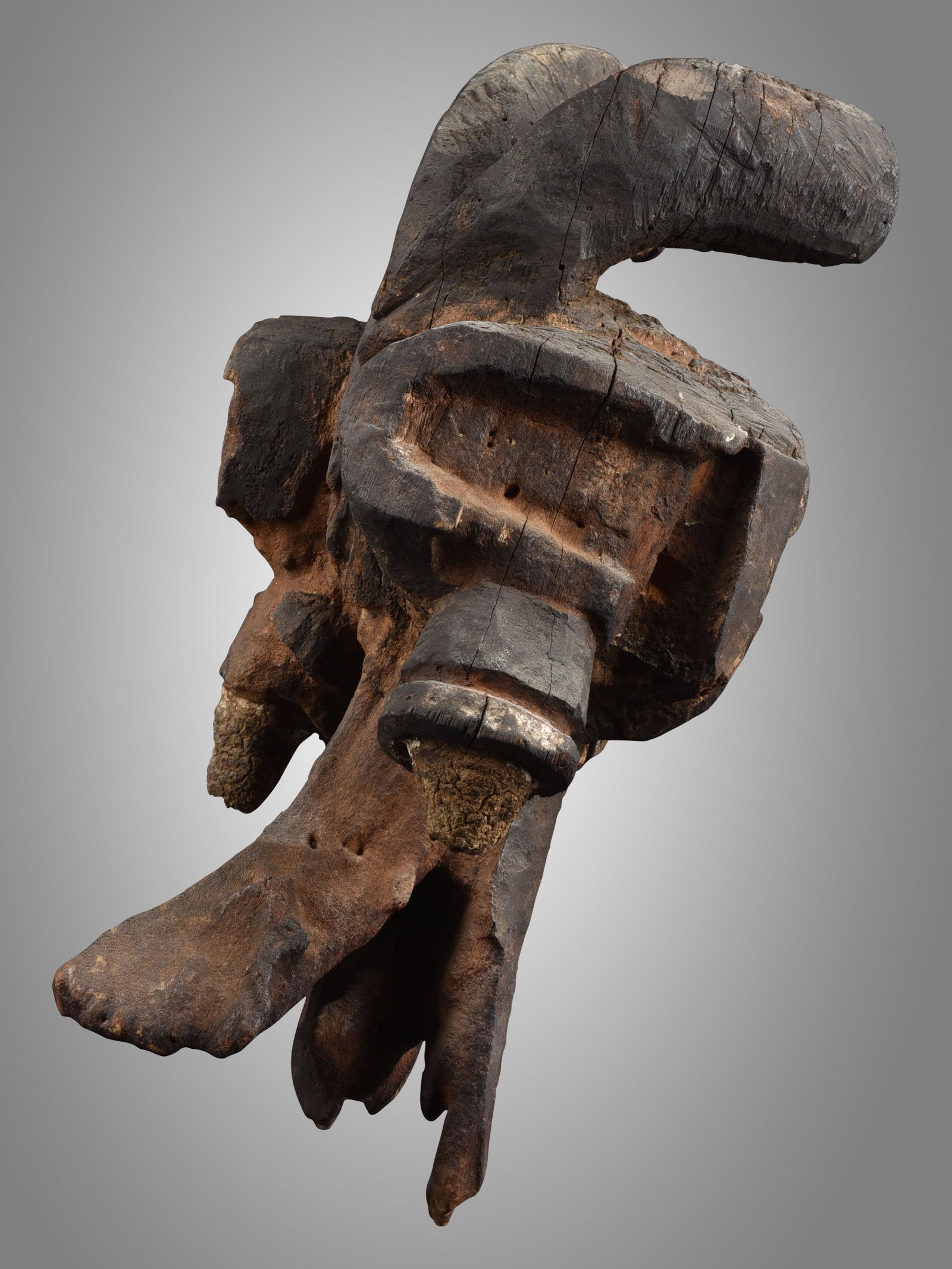 A Mambila Headdress, "suah dua": Kopfaufsatz, "suah dua" Mambila, Nigeria Ohne Sockel / without base Holz. H 34 cm. Provenienz: Helmut (1931-2021) und Marianne Zimmer, Zürich. Zoomorphe, "suah dua" (auch "suahduw") genannter Kop