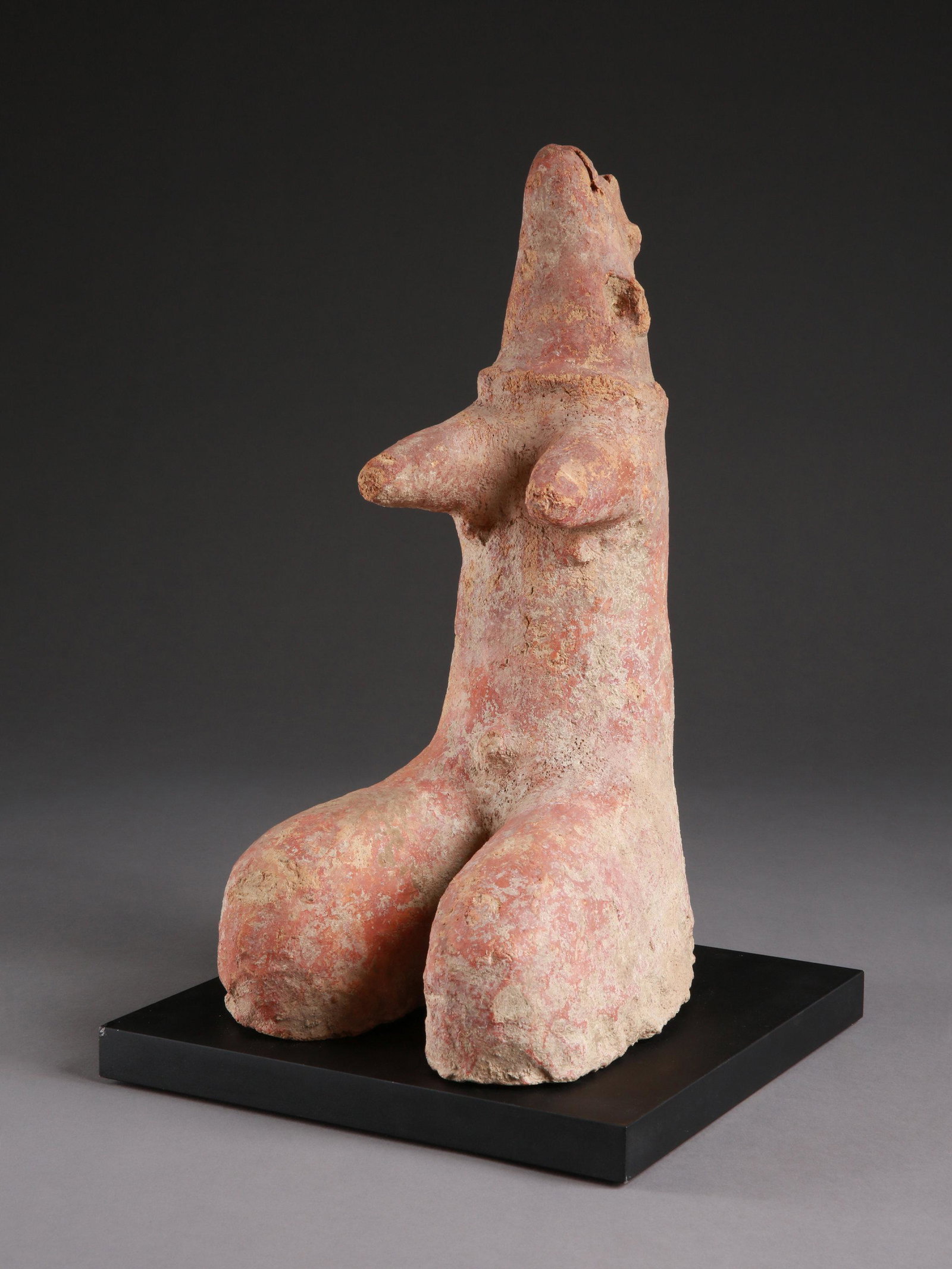 A Ténenkou Zoomorphic Figure (1 of 12)