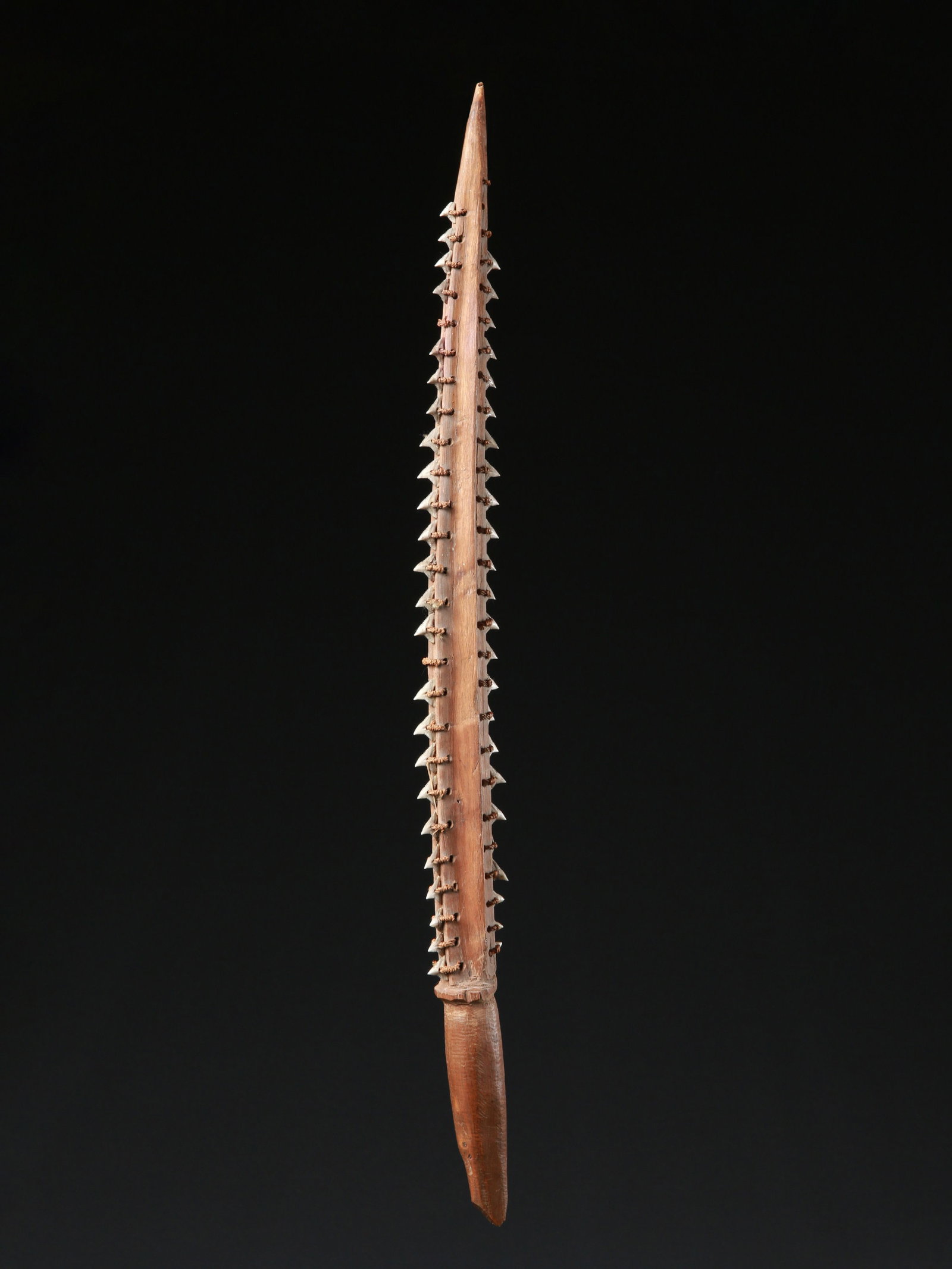 A Kiribati Shark Teeth Sword, "rere": Kurzschwert, "rere" Mikronesien, Kiribati Ohne Sockel / without base Holz, Zähne. H 55 cm. Provenienz: Gérald Minkoff (1937-2009) und Muriel Olesen (1948-2020), Genf. -----------------------