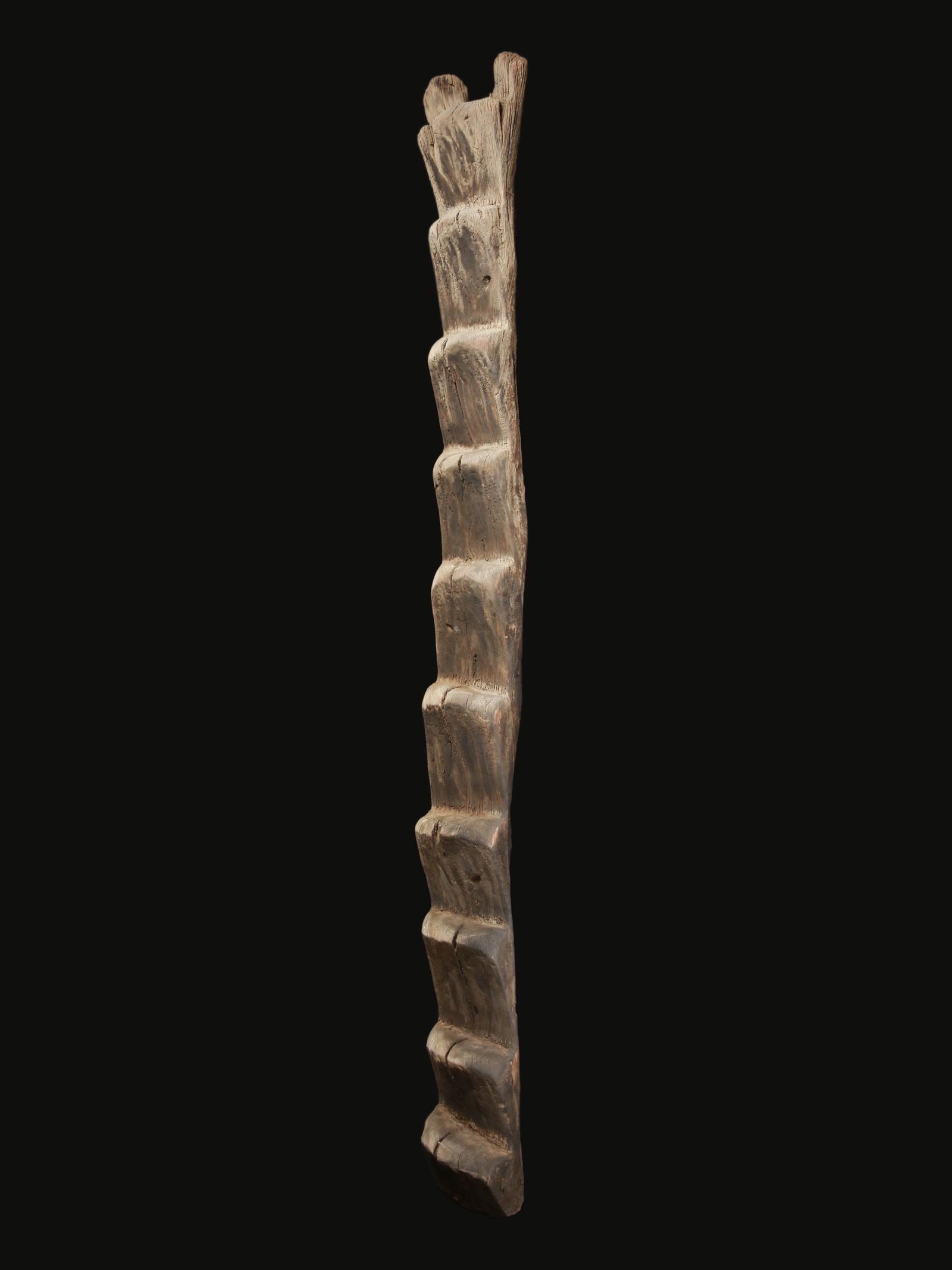 A Dogon Ladder, "bilu" (1 of 13)