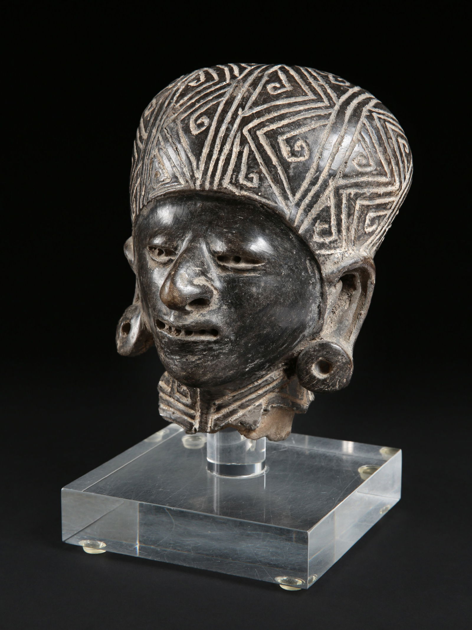 A Manta Head (1 of 11)