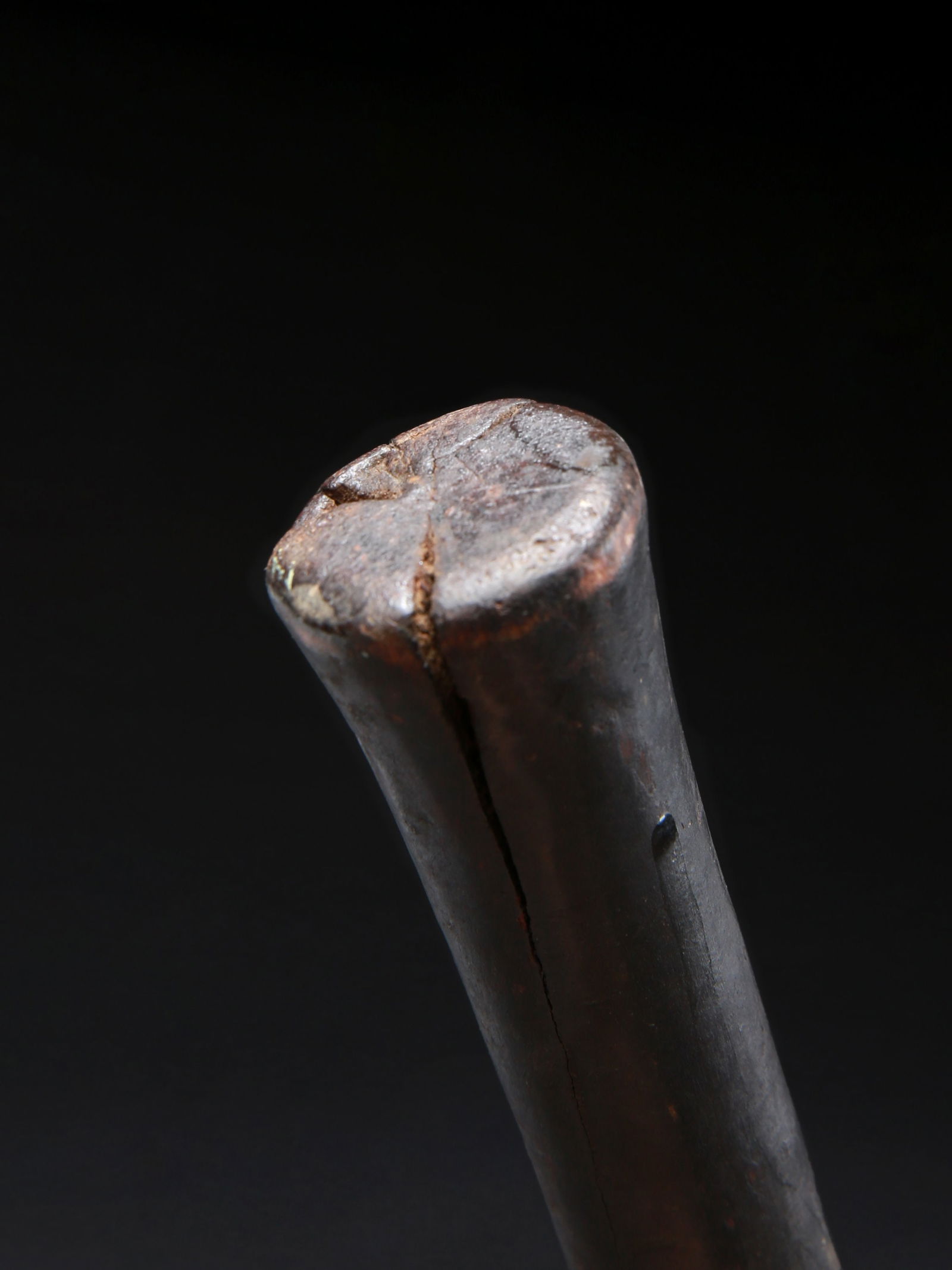 A Bamana Staff, "solima bere" - 12