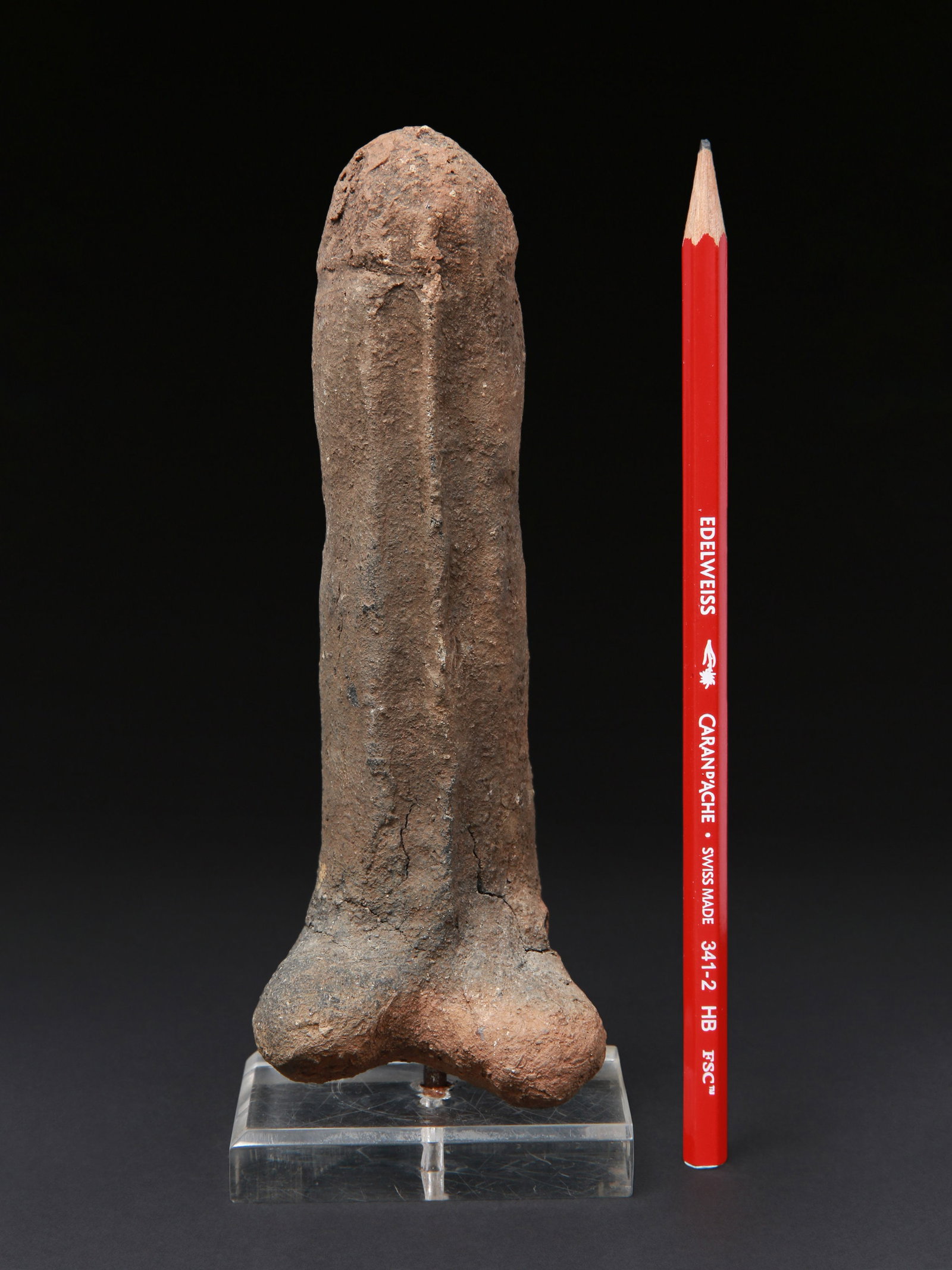 A Makonde (?) Terracotta Phallus - 2