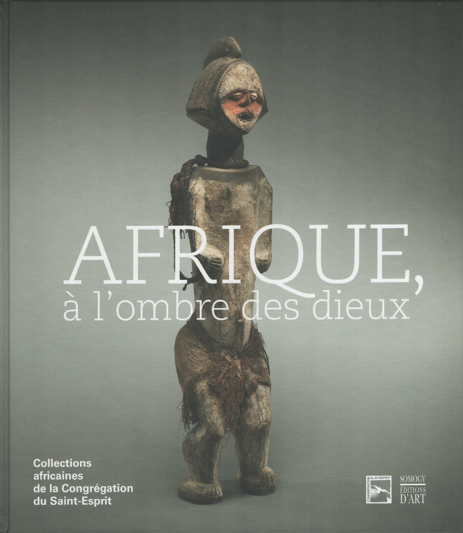 Afrique à l'ombre des dieux (1 of 1)