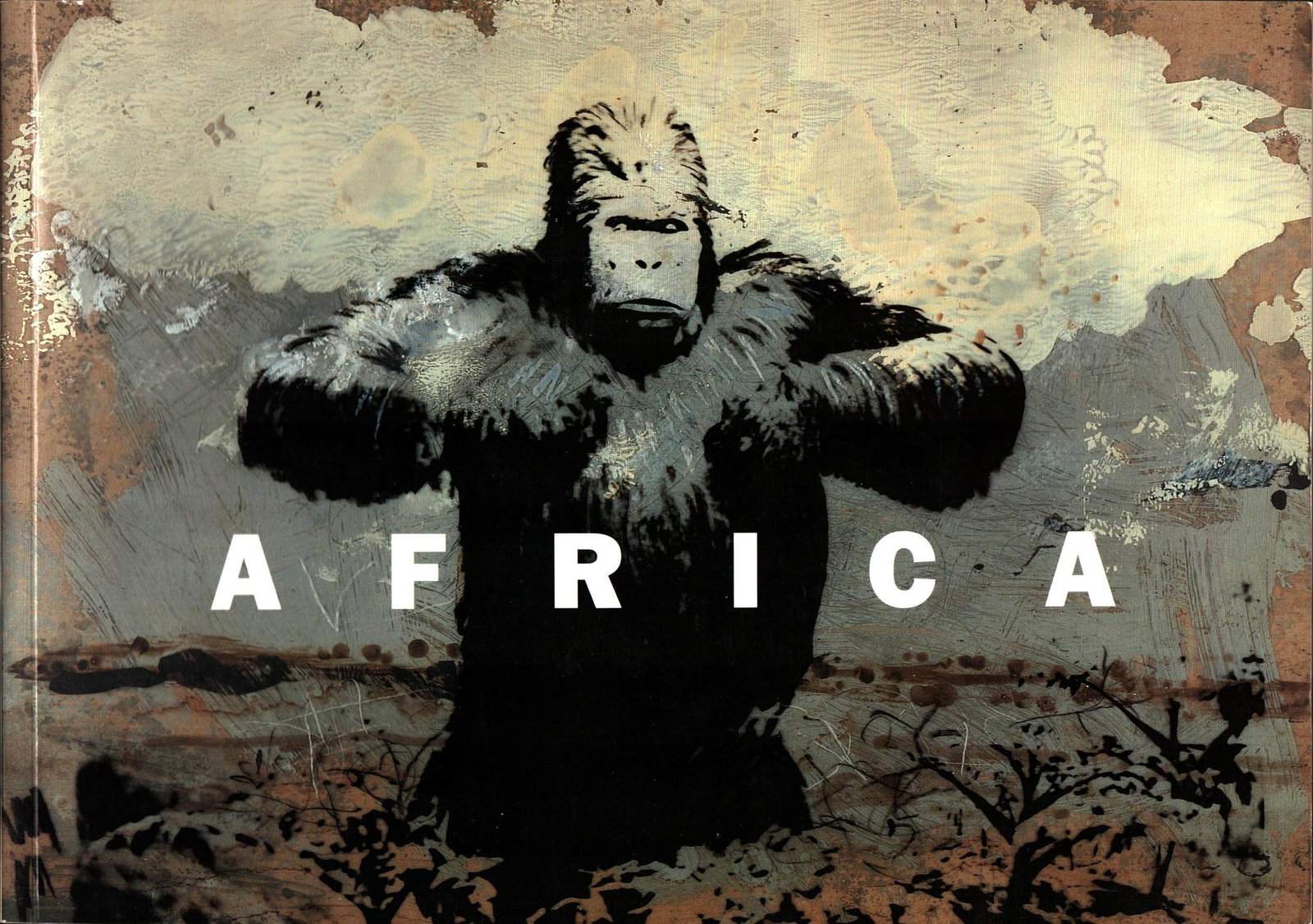 Africa: Africa Oeuvres de Pino Pascali et des Ejagham Galerie Liliane & Michel Durand-Dessert, Paris (2001) French Text/Edition Unnumbered pages 135 coloured illustrations Softcover 30 x 21 cm 517 g CHF 100