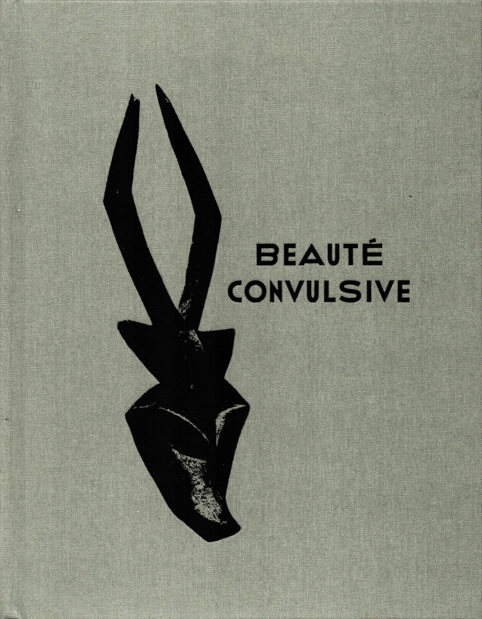 Beauté Convulsive: Beauté Convulsive Galerie Monbrison (23.04.2024) French Text/Edition 43 pages Hardcover 21.5 x 28 cm 410 g CHF 20 / 40