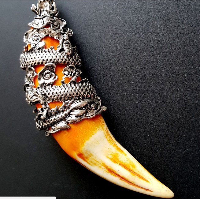 Chinese Qing Dynasty Tiger Tooth Pendant: Chinese Qing Dynasty Tiger Tooth Pendant. Metal Type: Silver. Product Size: 12.5cm*2.5cm*1cm