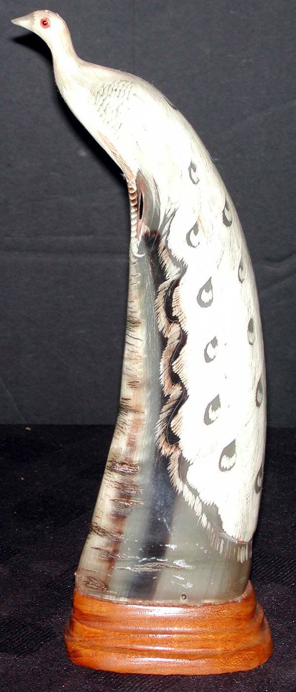 SCRIMSHAW LARGE CARVED PEACOCK 14618 - 2