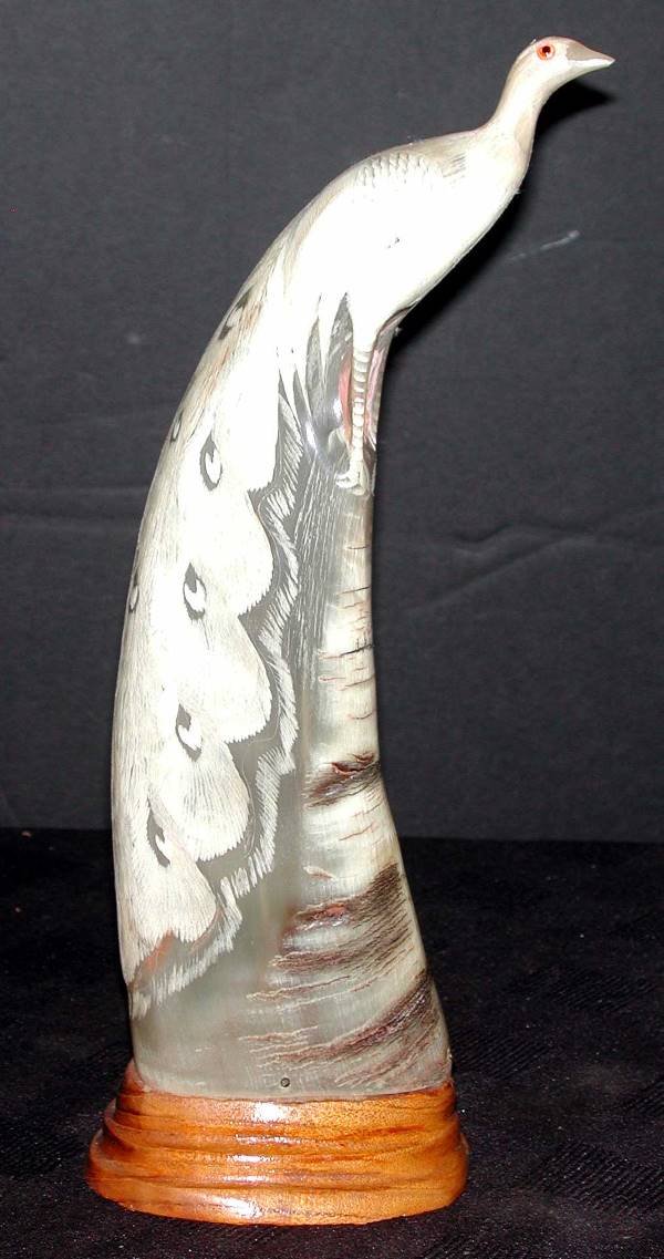 SCRIMSHAW LARGE CARVED PEACOCK 14618 - 3