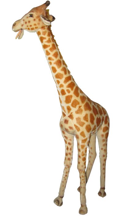 LARGE SIGNED STEIFF STUFFED DISPLAY GIRAFFE 3428: This is a great piece signed by Steiff of a life-size giraffe once owned by Barney Martin, the actor who played Jerry Seinfeld's father. Incredibly detailed with life-like features this giraffe was mo