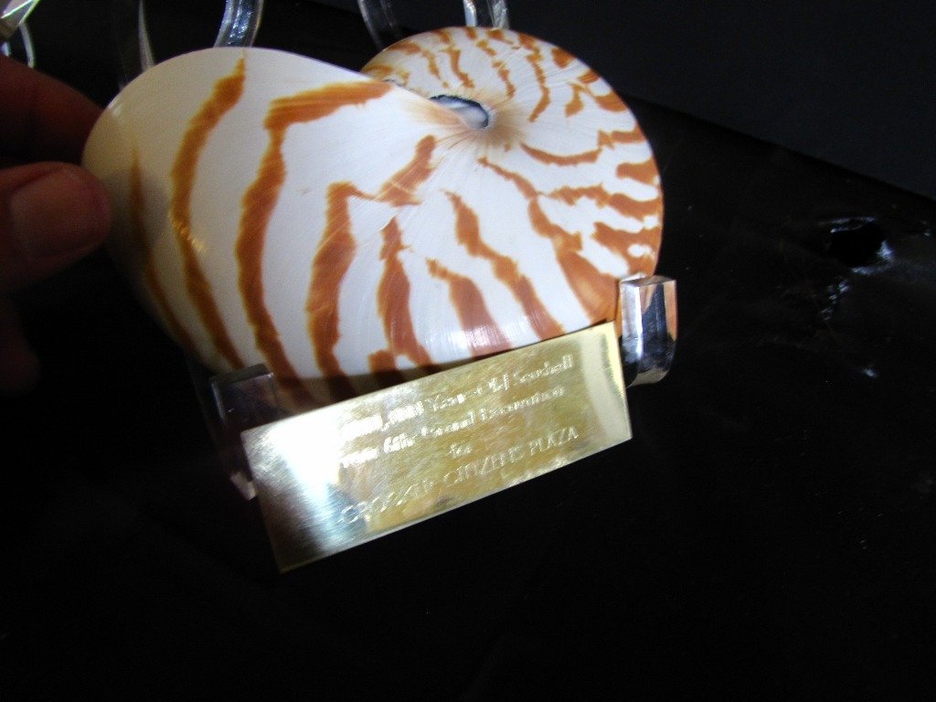 NAUTILUS SHELL ON STAND 10,000,000 YEARS OLD 109T: Original Nautilus shell on stand, has brass label reading 10,000,000 year old seashell from 6th grand excavation for Crocker Citizens Plaza. 3 5/8"H x 5"L