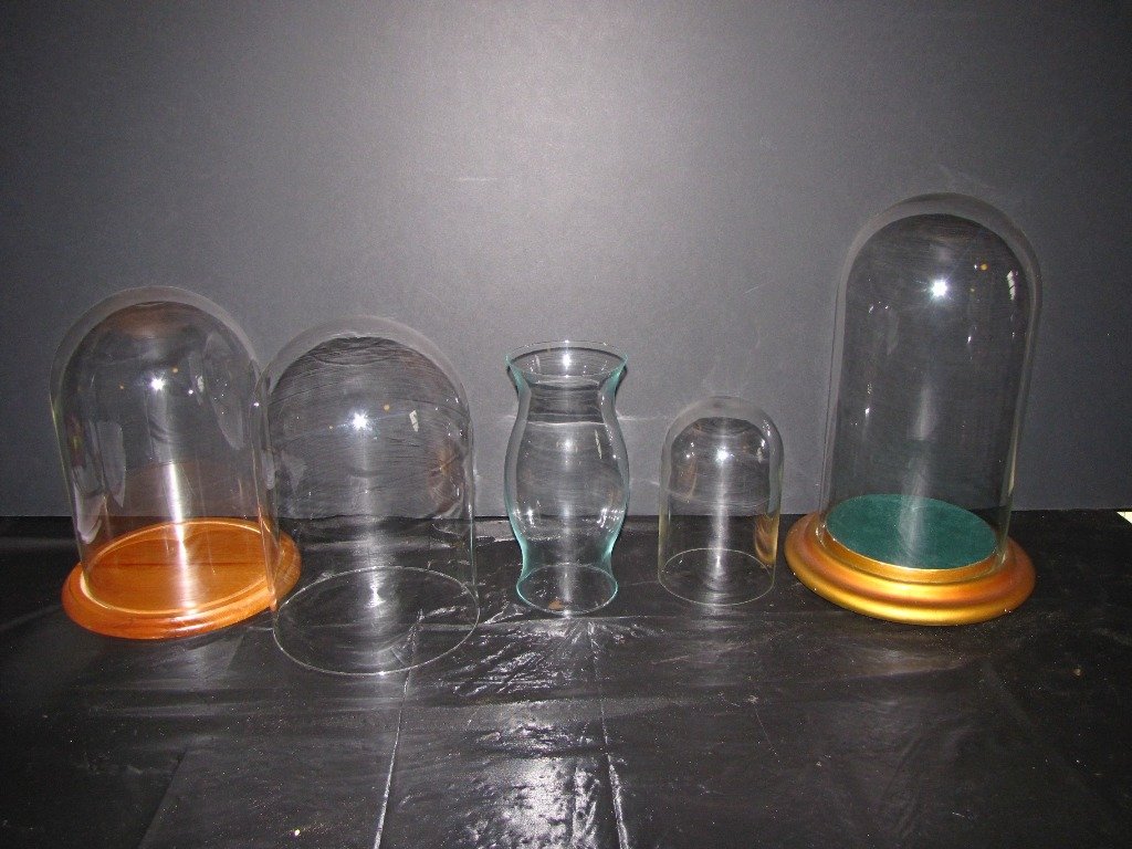 4 VINTAGE CURVED GLASS DOMES 2 BASES 2 MATCH 5081: Hard to find group lot of four various sized glass domes, two matching, and hour glass shaped center piece, also includes two bases, one wood the other gold painted plaster w/velvet interior…don't m
