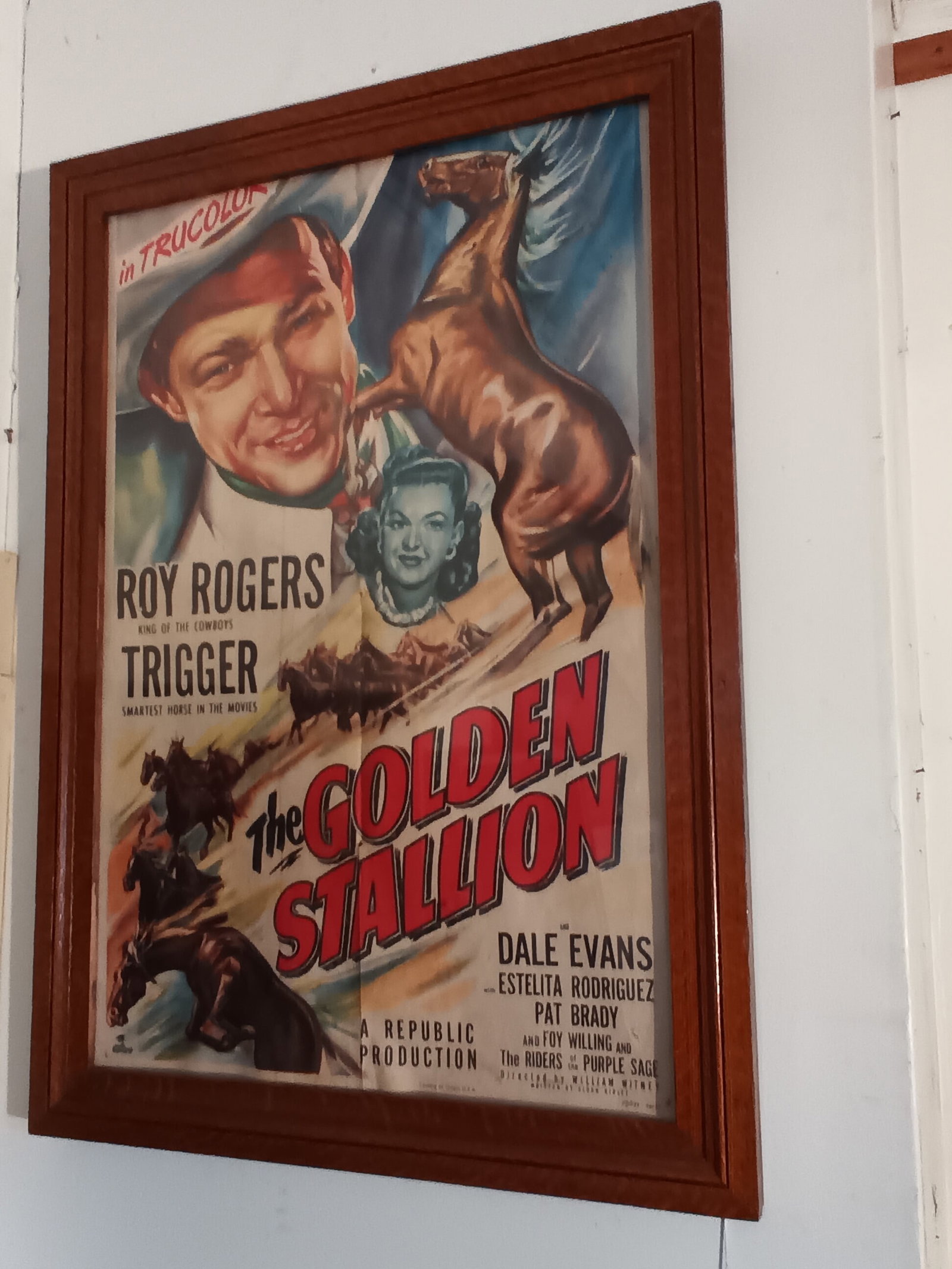 Vintage Western Roy Rogers The Golden Stallion Movie poster in wonderful Oak frame 44" x 31": Vintage Western Roy Rogers The Golden Stallion Movie poster in wonderful Oak frame. Precise measurements are 44 1/4" x 31 1/2". Please help me get to 500 followers so I may be able to send out prior n