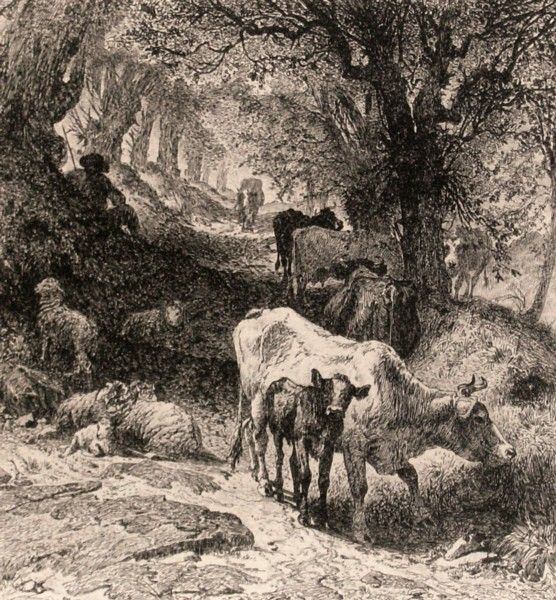Peter Moran - Cattle - Original Etching (1841-1914: "American Landscape with Cattle" Original Etching - 8.5 x 7.5 plate size