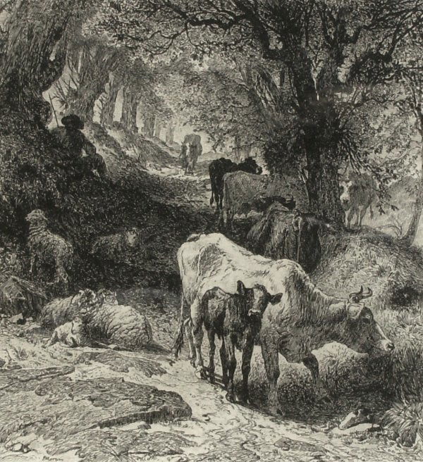 Peter Moran - Cattle - Original Etching (1841-1914: "American Landscape with Cattle" Original Etching - 8.5 x 7.5 plate size
