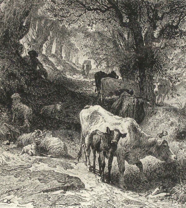 Peter Moran - Cattle - Original Etching (1841-1914: "American Landscape with Cattle" Original Etching - 8.5 x 7.5 plate size