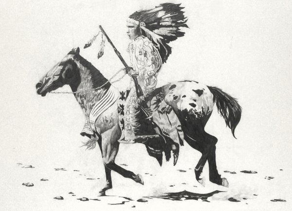 Doug Webb - Indian on Horseback - Ink: "Indian on Horseback" Pen & Ink on Board - 19 x 26