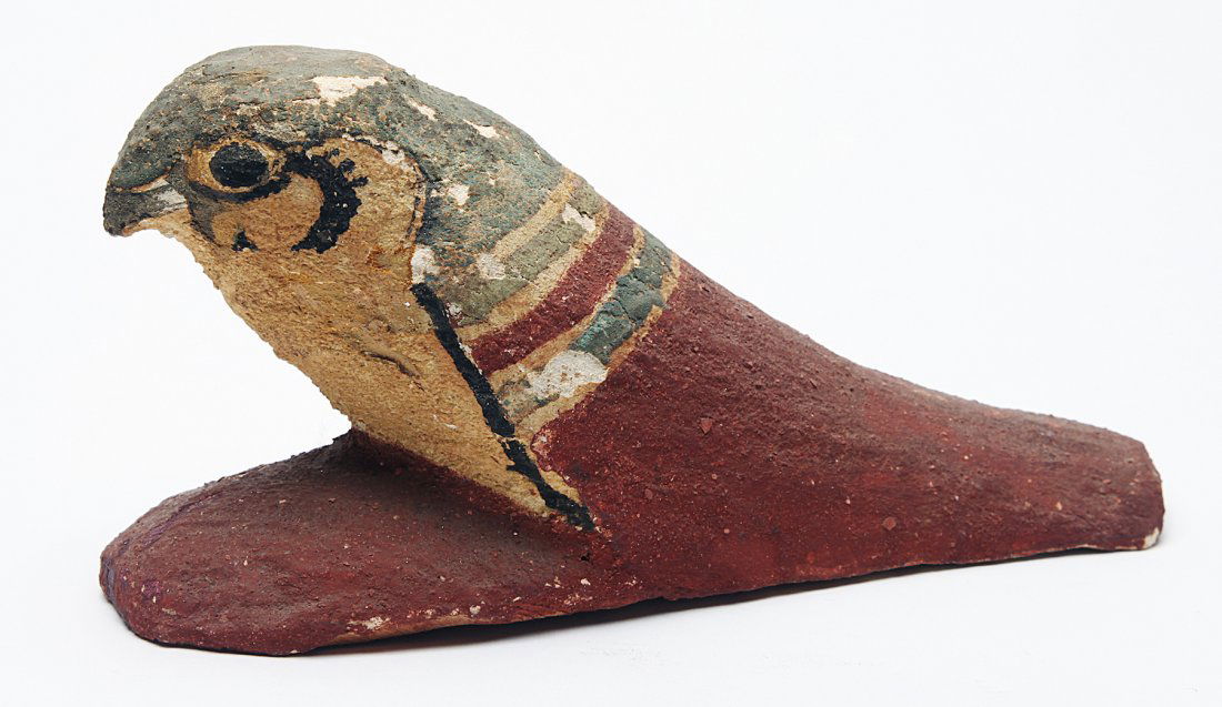 A Large Egyptian Wood Falcon (1 of 2)