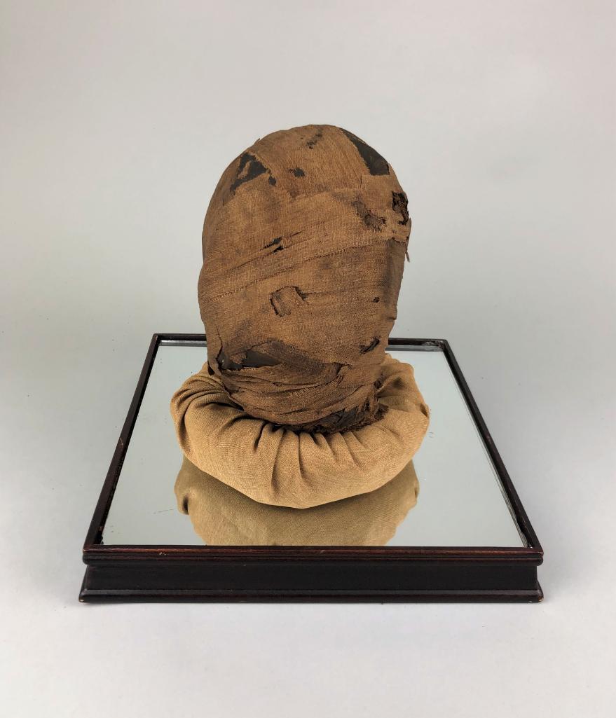 Rare Egyptian Mummy Head, 19th c. Provenance: Egypt, c. 1400 BC. With original museum descriptive card, see photo. Very rare. Height: 22cm (8.6in). Harvard University Semitic Museum, excavated by Robert R. Livingston in 1886-87, uncovered near Lu