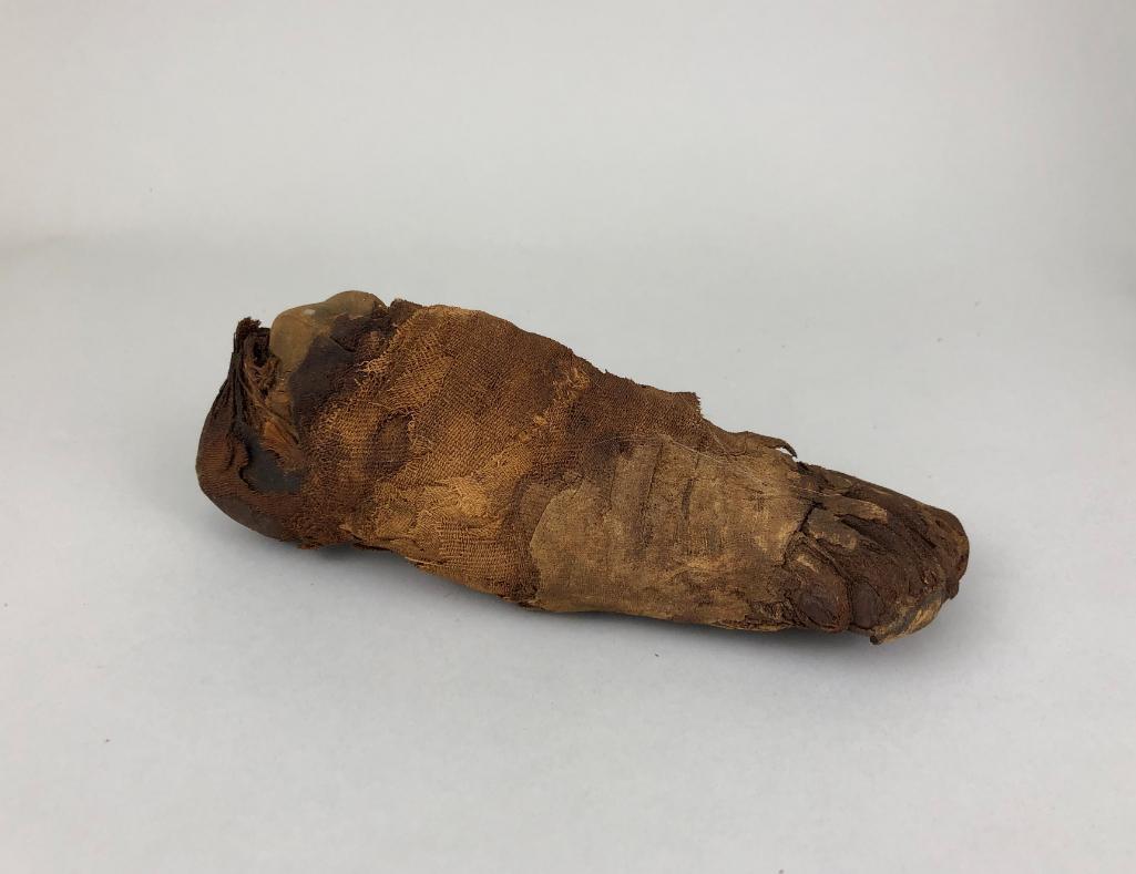 Rare Egyptian Mummified Foot, 19th c. Provenance: Egypt, c. 1400 BC. Length: 20.3cm (8in). Harvard University Semitic Museum, excavated by Robert R. Livingston in 1886-87, uncovered near Luxor. Ancient Objects will not ship this item to Georgia, Tenn