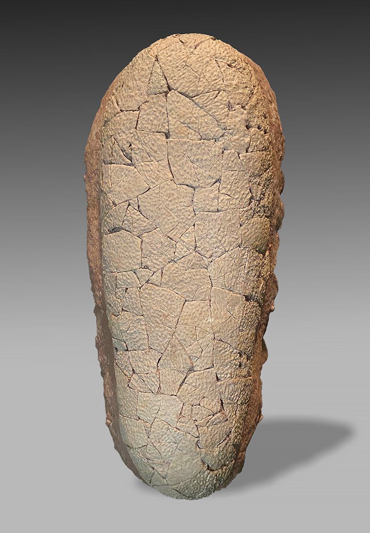 Oviraptor Dinosaur Egg Fossil (1 of 1)