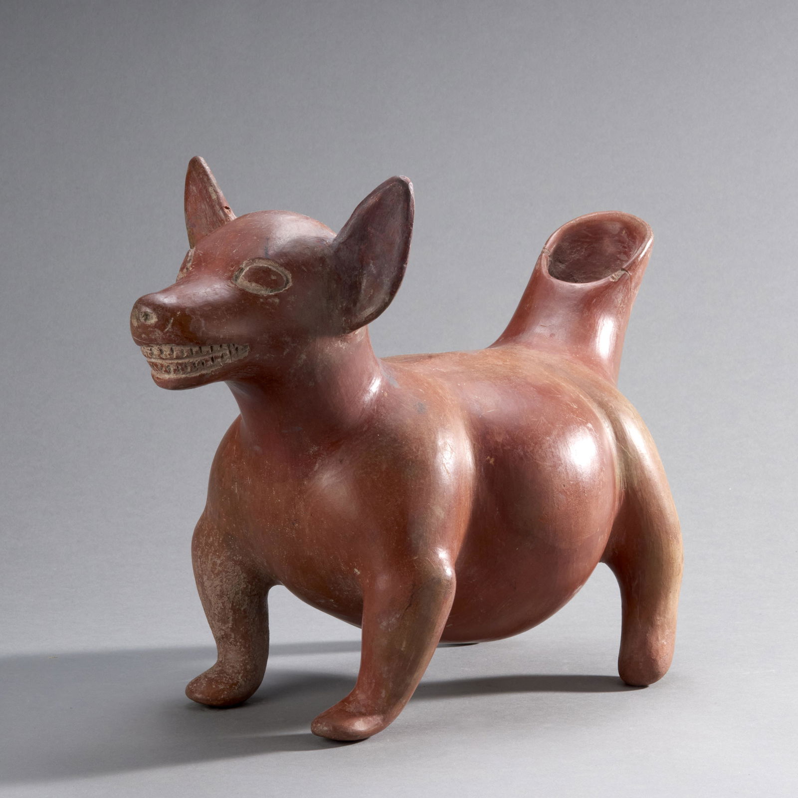 Pre-Columbian Colima Dog (1 of 5)
