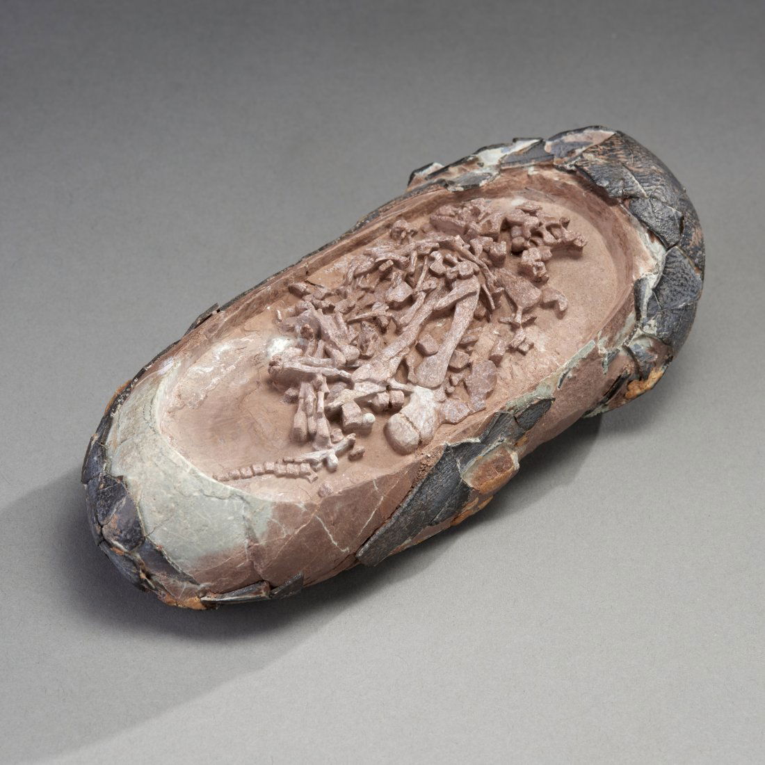 Fossil Oviraptor Dinosaur Egg with Embryo: Central Asia, ca. Cretaceous 144 - 65 million years ago. Rarest of the rare, an oviraptor egg with extensive skeletal remains. We believe the entire skeleton including the skull is likely present and