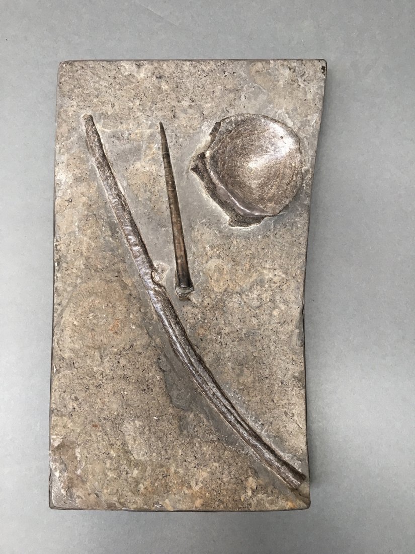 Plate with Icthyosaur Vertibrae, Rib, & Belemnite: Holzmaden, Germany; Lower Jurassic Period (ca. 160 million years ago) Dimensions Plate measures 8" by 13"