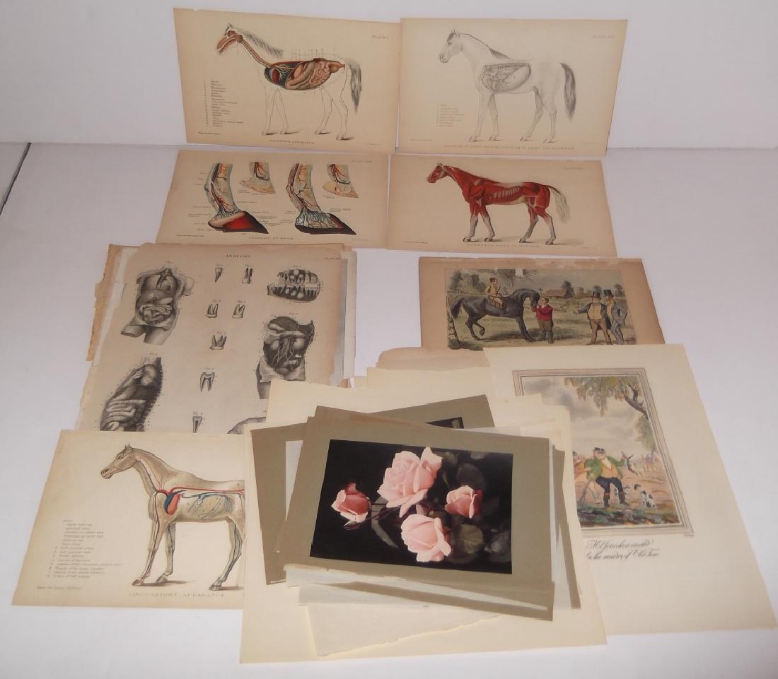 25 antique bookplate engravings/etchings/litho (1 of 10)