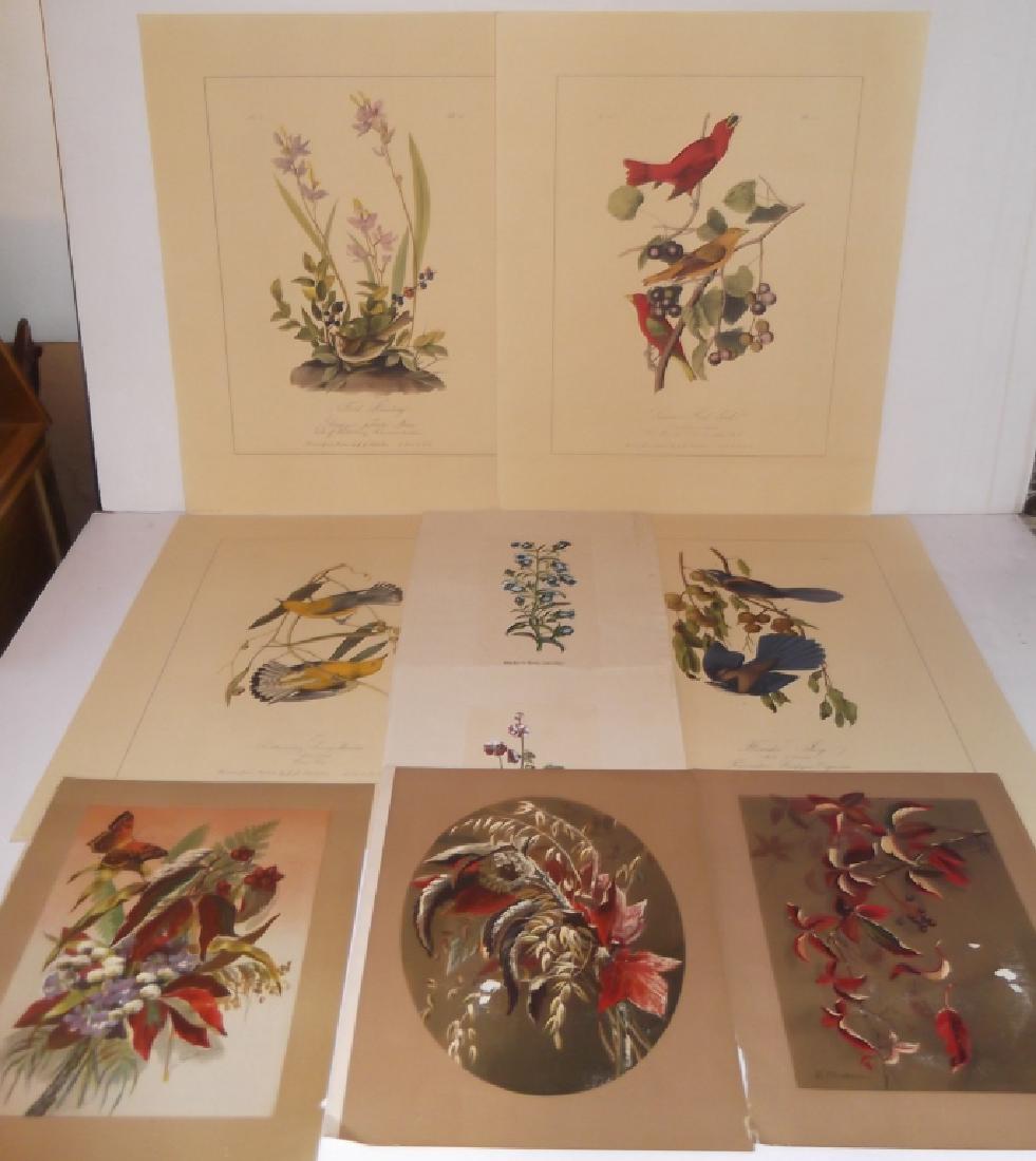 20 20th century colored lithographs/prints (1 of 14)