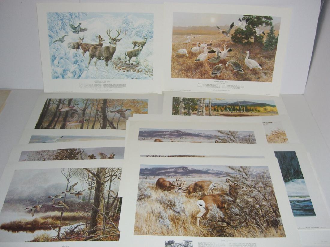 23 Remington Wildlife lithograph prints (1 of 15)