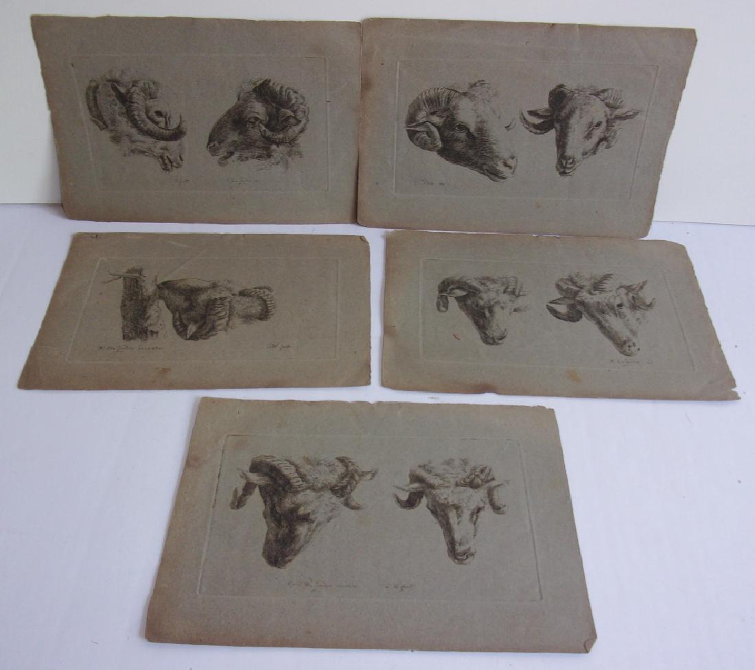 5 K. Du Jardin/S.W. Fecit  Ram etchings (1 of 7)