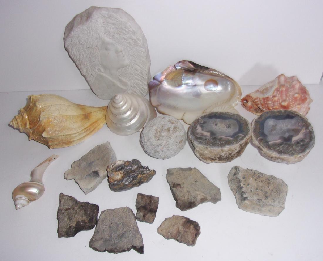 collection of shells, fossils, carved stone, geode (1 of 4)