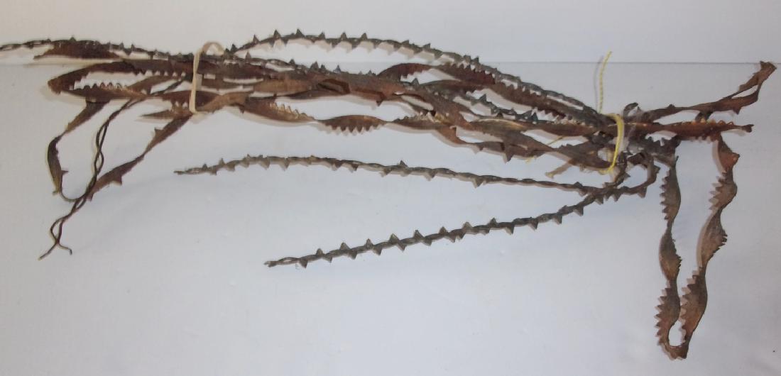 Collection of  barbed wire (1 of 5)