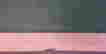 item-56390139=4