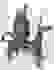 item-57582623=1