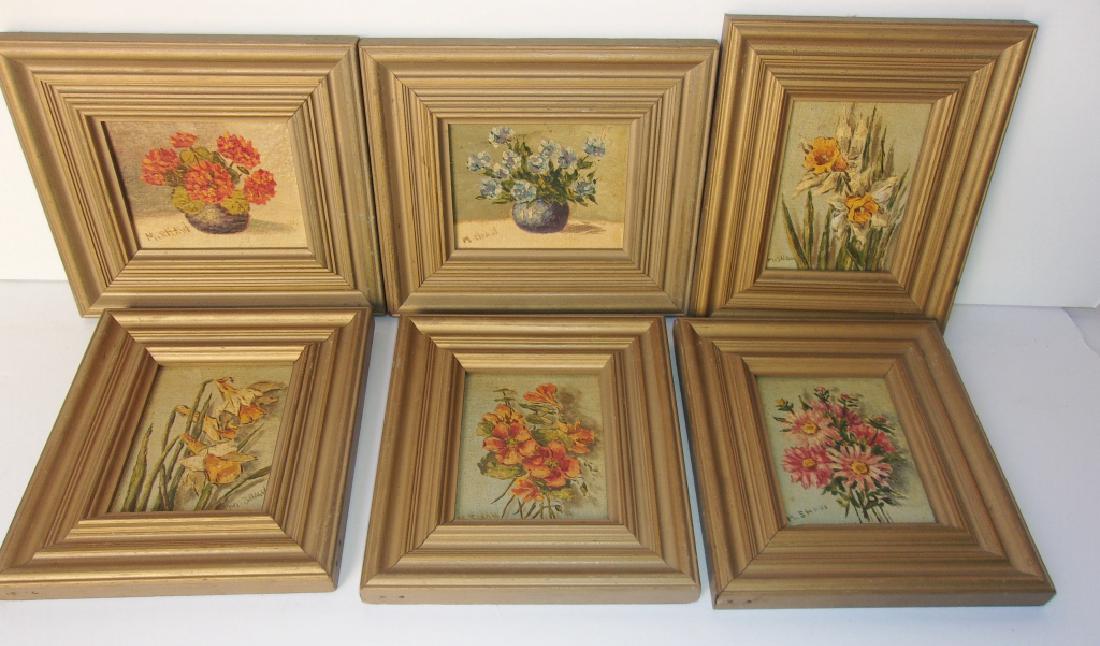 6 small oil on board floral paintings signed: 6 small oil on board floral painting's all signed M. Shaw. 8.5" x 7.5".